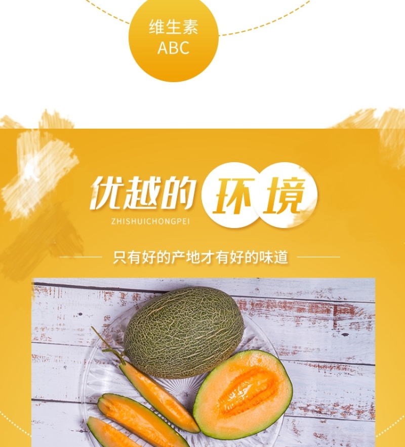 耀龙25号哈密瓜