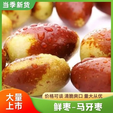 马牙枣大量上市中欢迎新老客户！实力代收原产地就是量大