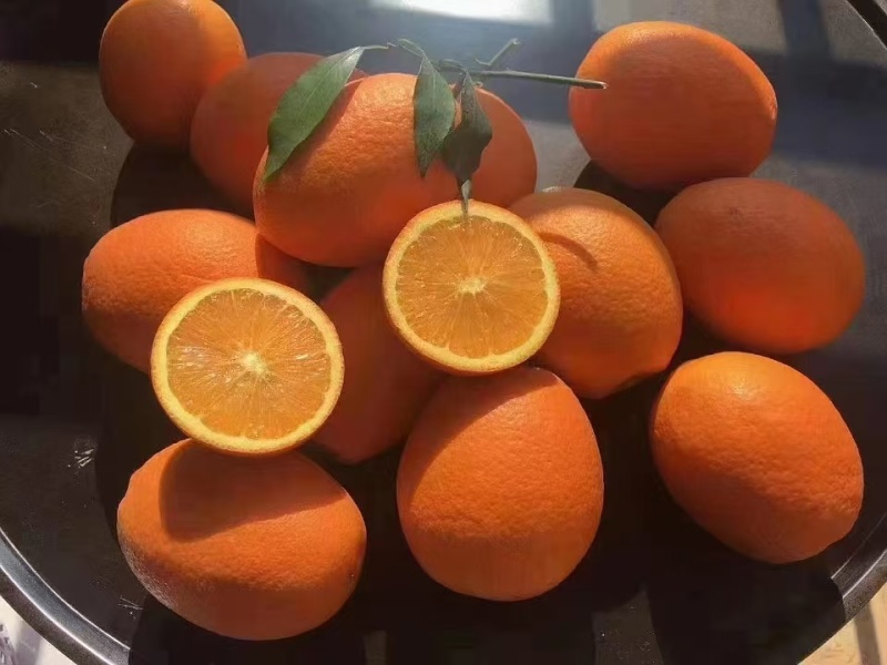 湖北长虹脐橙量大价优皮薄多汁口感甜水份足对接全国客商