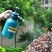 家用2L气压浇花消毒喷壶高压喷雾器压力塑料喷水壶洒水壶