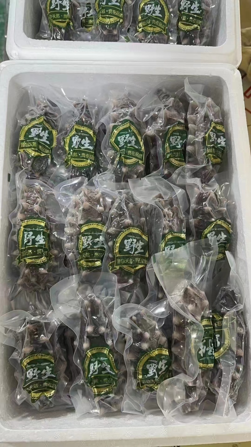 辽宁大连即食海参大量供应开袋即食口感筋道欢迎下单