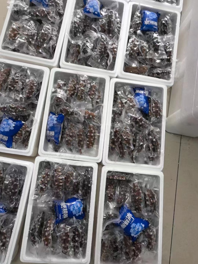 辽宁大连即食海参大量供应开袋即食口感筋道欢迎下单