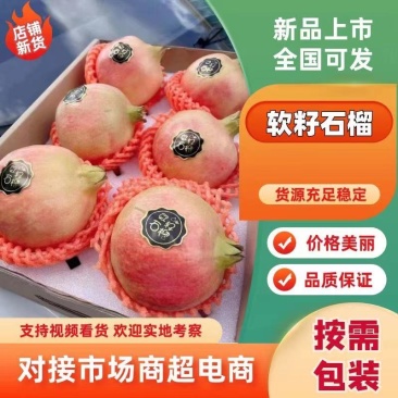 四川会理石榴，对接电商批发市场外贸出口饮料加工厂