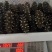 辽宁大连即食海参大量供应开袋即食口感筋道欢迎下单