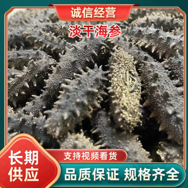 辽宁精品淡干海参规格齐全泡发16/18斤带质检报告
