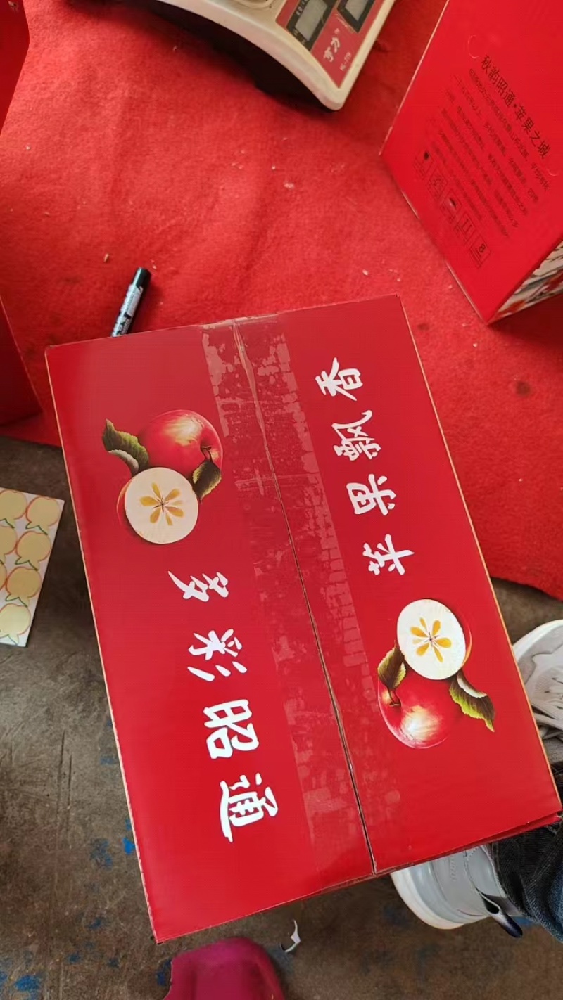 丑苹苹果品质保证支持视频看货发往全国市场！