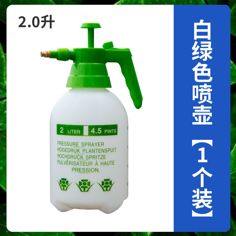 家用园艺浇花水壶气压式手持喷壶2L压力喷雾瓶浇水喷洒水壶