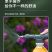 饮料瓶可调节喷头浇花喷雾器配件洒水喷壶压力雾化喷嘴喷枪头