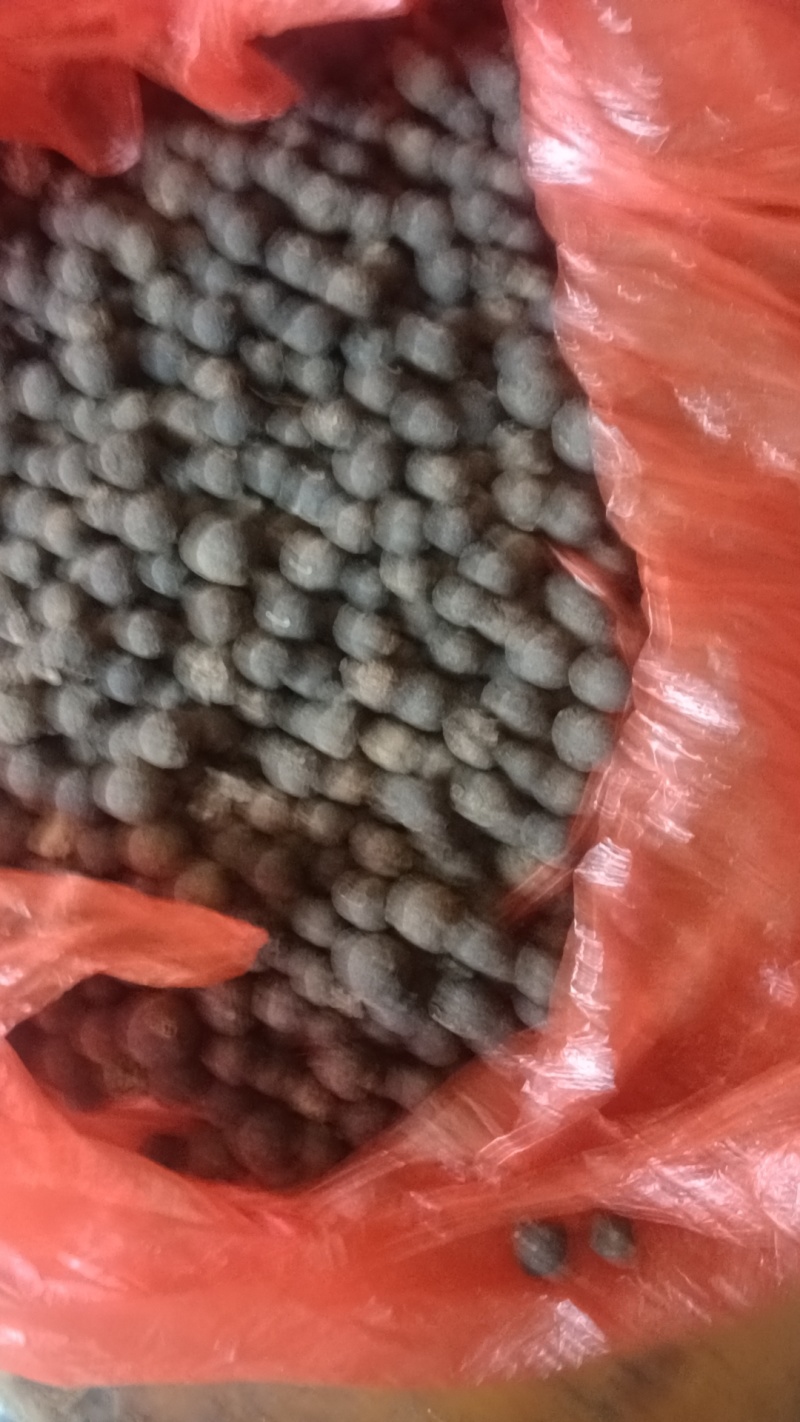 只壳枳壳产地一手货源自产自销欢迎实地考察