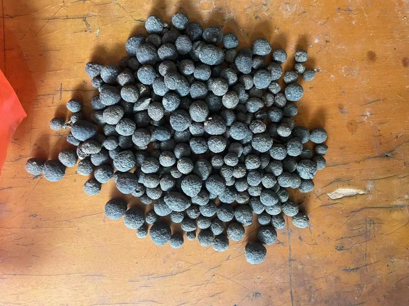只壳枳壳产地一手货源自产自销欢迎实地考察
