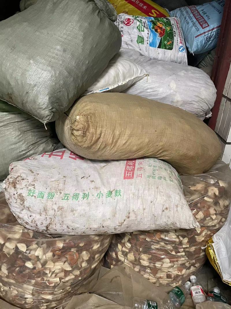 只壳枳壳产地一手货源自产自销欢迎实地考察