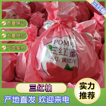 平和琯溪蜜柚产地供应链高品质量直供商超电商大批量供货
