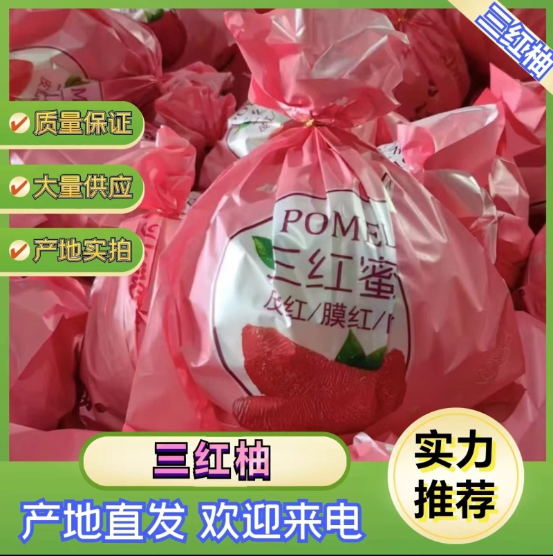 平和琯溪蜜柚产地供应链高品质量直供商超电商大批量供货