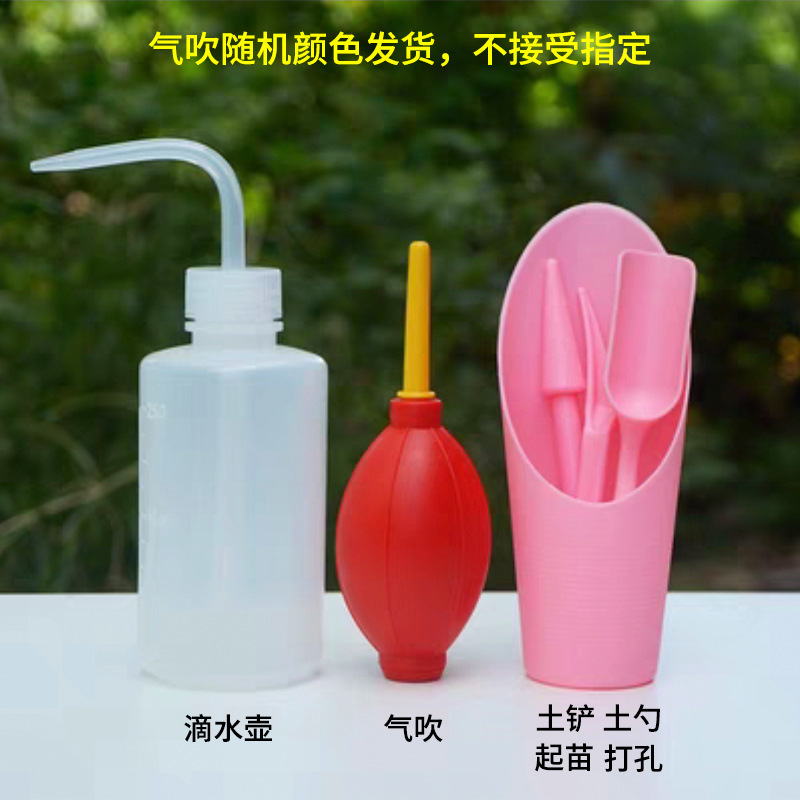 园艺工具组合套装喷壶多肉种植搭配移苗器桶铲土铲子耙-02