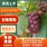 辽峰葡萄产地直发，一手货源，价格优惠，诚信经营，全国可发