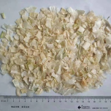脱水白洋葱粒