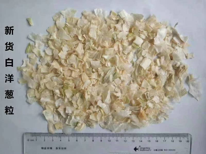 脱水白洋葱粒