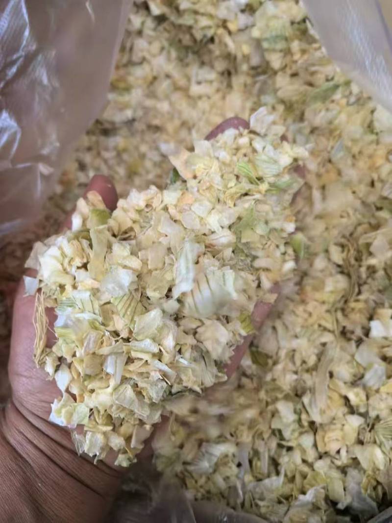 脱水白洋葱粒