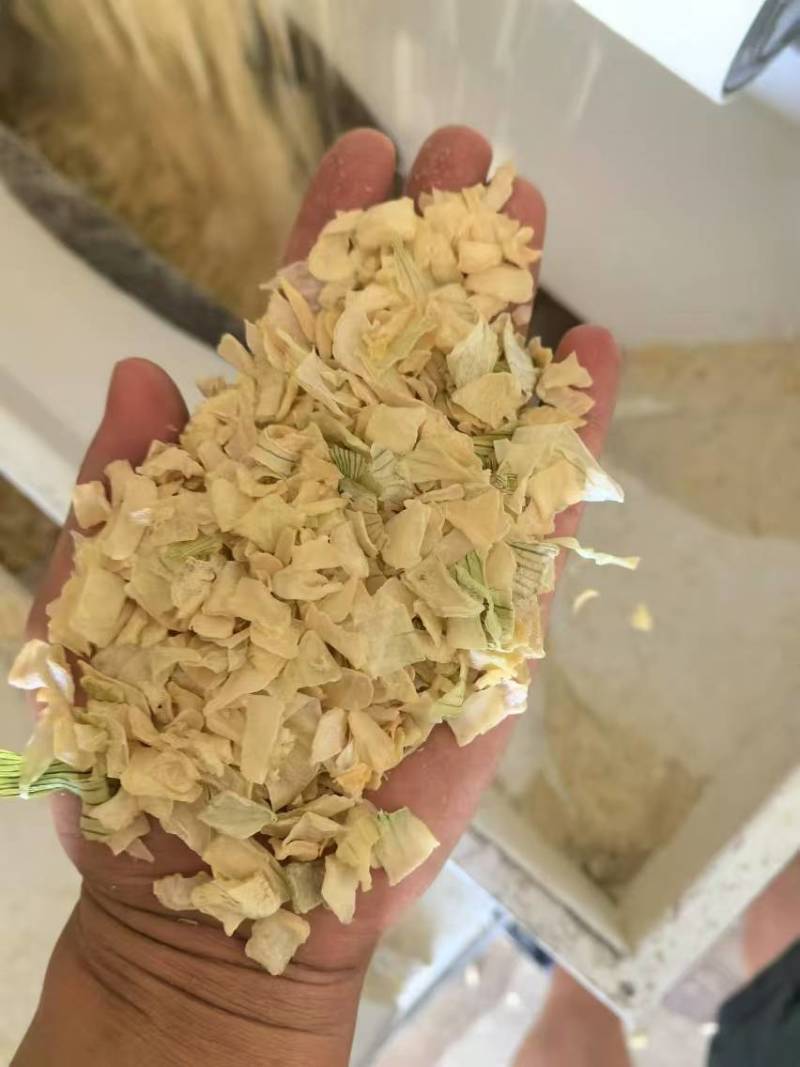 脱水白洋葱粒