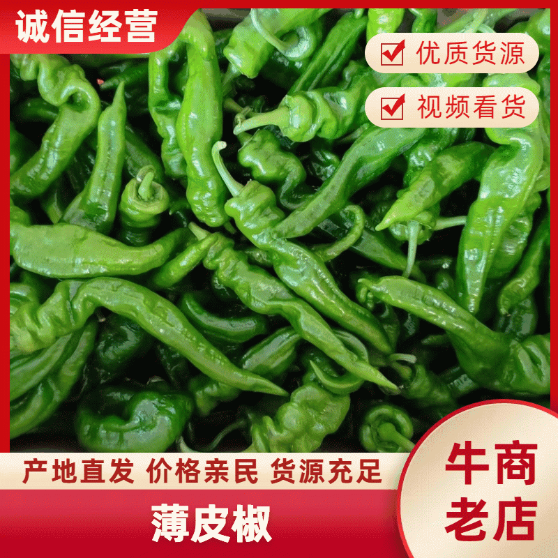 湖北长阳薄皮椒螺丝椒鲜辣椒大量有货，欢迎咨询实地看货量大从优
