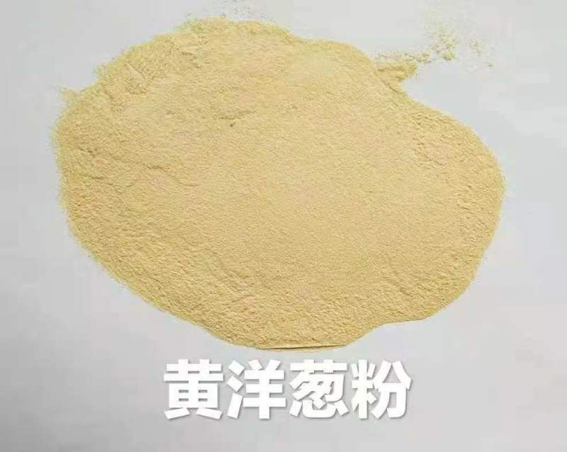 脱水洋葱粉粒