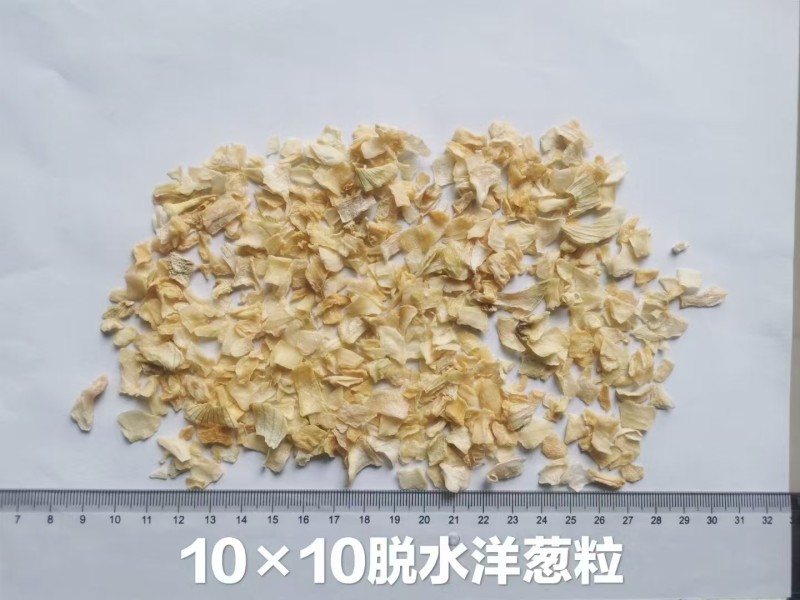 脱水洋葱粉粒