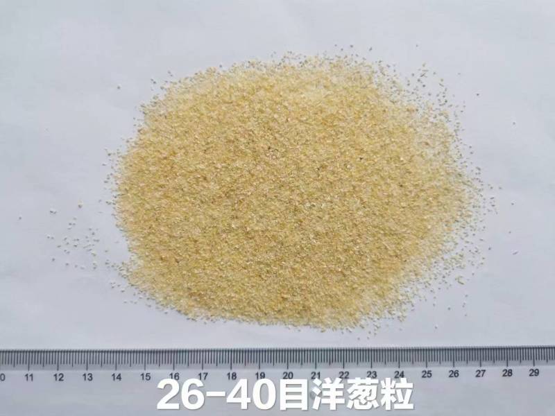 脱水洋葱粉粒