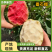 番石榴红心白心芭乐商超品质