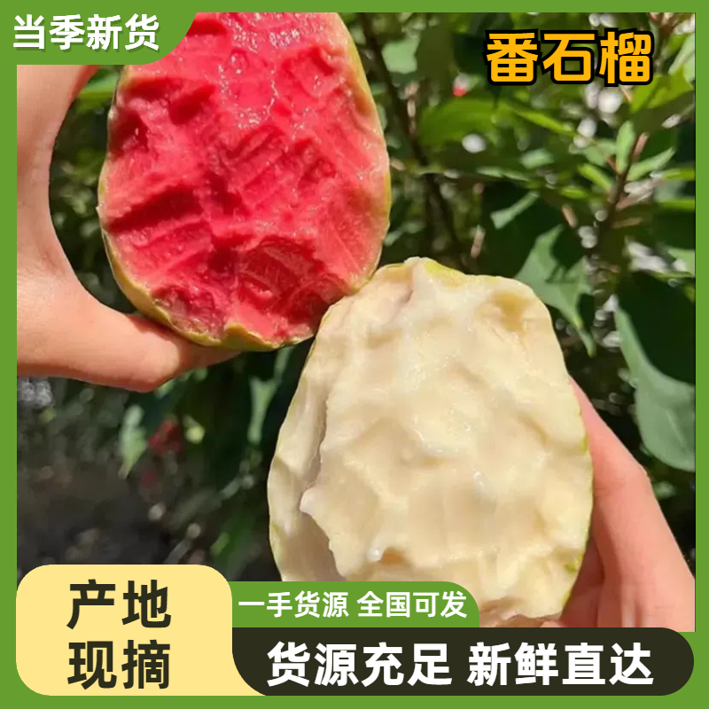 番石榴红心白心芭乐商超品质
