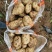土豆实验一号新鲜土豆产地直发货源充足，量大优惠欢迎合作