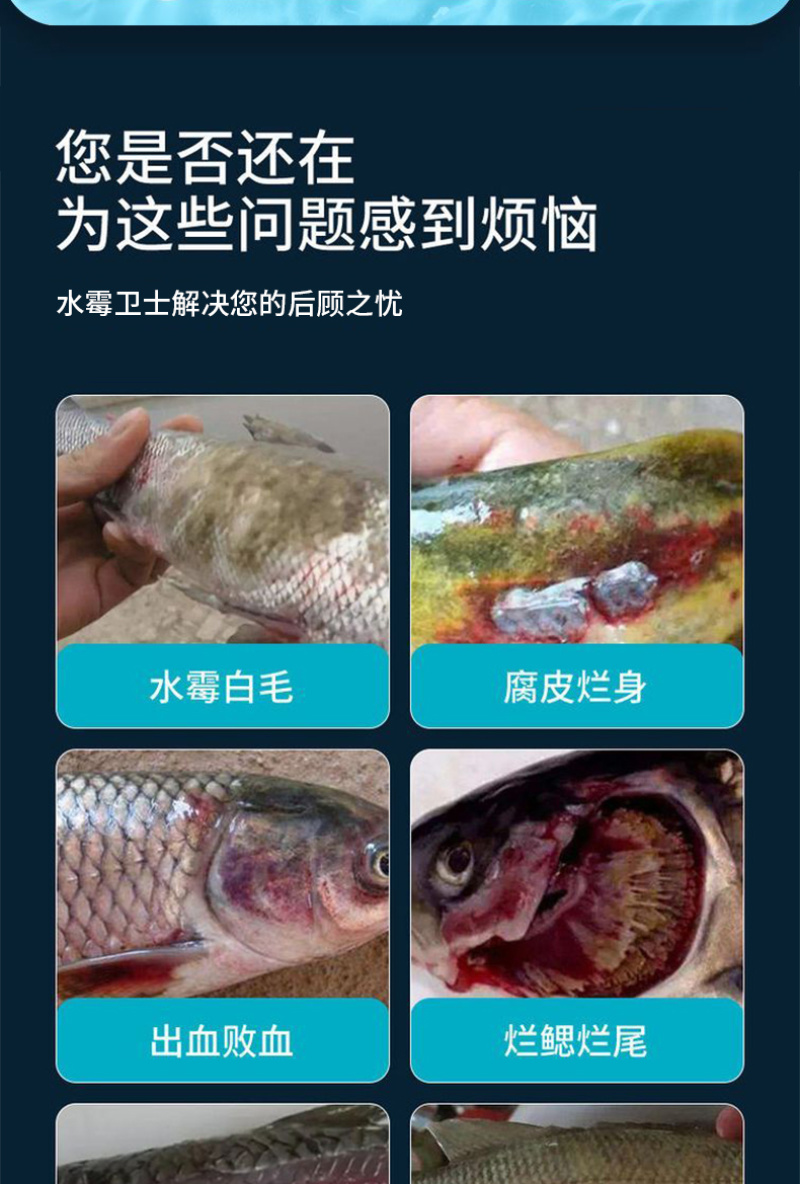 硫醚沙星水霉卫士鱼塘水霉病白毛赤皮烂鳃烂尾