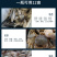 硫醚沙星水霉卫士鱼塘水霉病白毛赤皮烂鳃烂尾