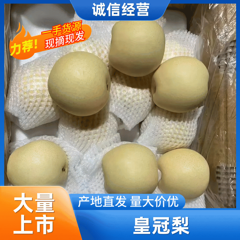安徽白皇冠梨，口感翠甜现摘现采诚信合作包装物流一条龙服务