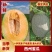新疆淖毛湖西州蜜瓜，一手货源，可视频看货，代发全国