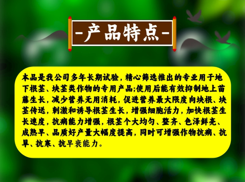 根茎块茎钻用个大均匀土豆花生大蒜山药魔芋红薯萝卜药材