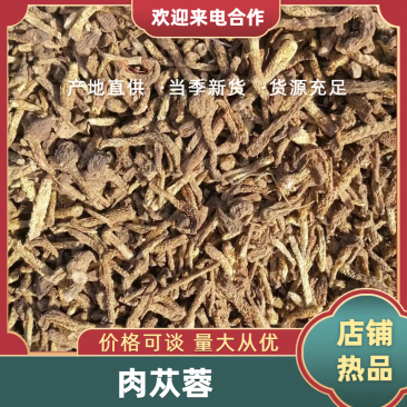 肉苁蓉统货疙瘩货货源充足量大从优质量保证欢迎咨询下单