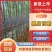广西甘蔗精品甘蔗产地直发量大从优欢迎各地客商洽谈合作