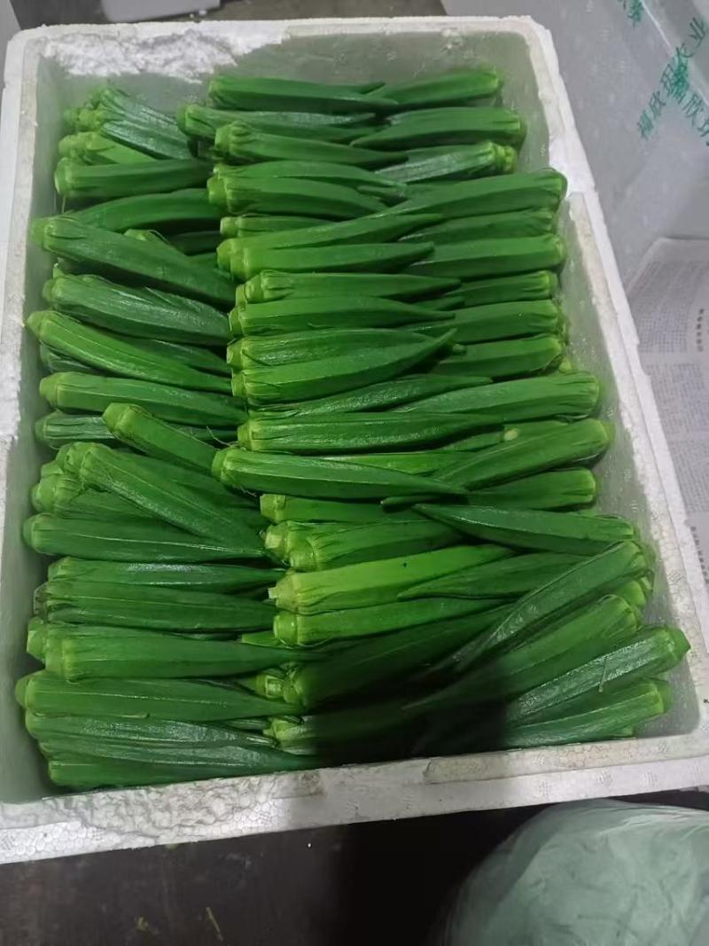 【热卖】云南精品秋葵一手货源产地直发量大价优可看货