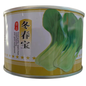 冬春宝青梗菜种子冬春品种小油菜种子