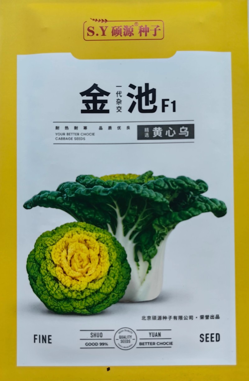 金池黄心乌种子黄心菜种耐热耐寒植株紧凑塌地成型早