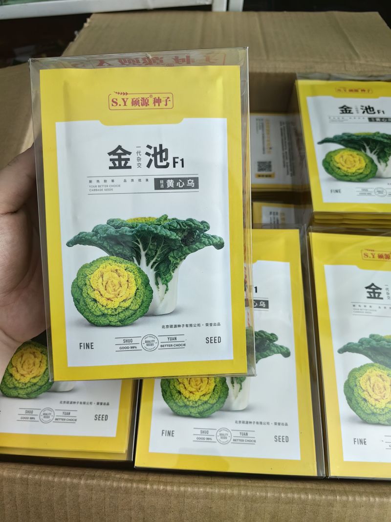 金池黄心乌种子黄心菜种耐热耐寒植株紧凑塌地成型早