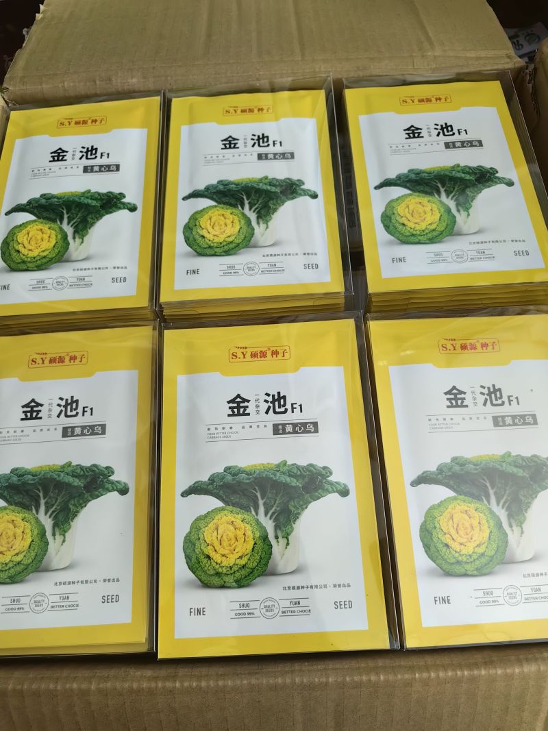 金池黄心乌种子黄心菜种耐热耐寒植株紧凑塌地成型早