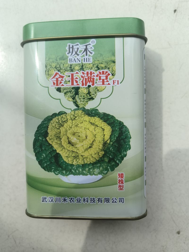 金玉满堂黄心菜种子黄心乌种子叶皱多心叶金黄