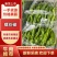 螺丝椒大量上市全年发货，货源充足，质量保证欢迎电话咨询