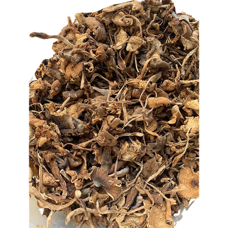 鸡枞菌干货云南黑皮鸡枞