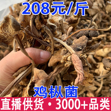 鸡枞菌干货云南黑皮鸡枞