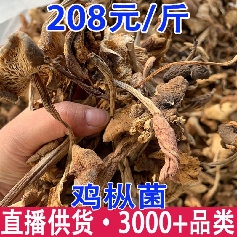 鸡枞菌干货云南黑皮鸡枞