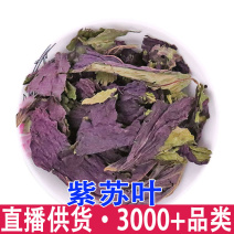 紫苏叶批发扎捆紫苏叶代客磨粉青苏