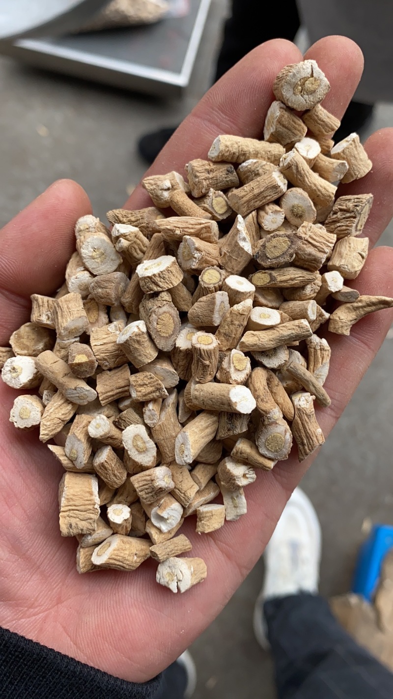 蓝根批发板蓝根大青根新货板蓝根量大从优当天发货