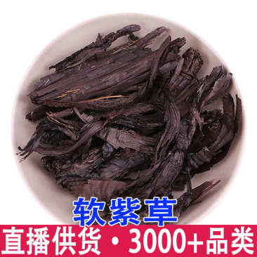 金兰茵金兰英龙胆花虞美人龙胆花西藏特产玉美人